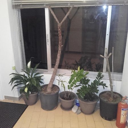 Jennys Apartment Preveza Bagian luar foto