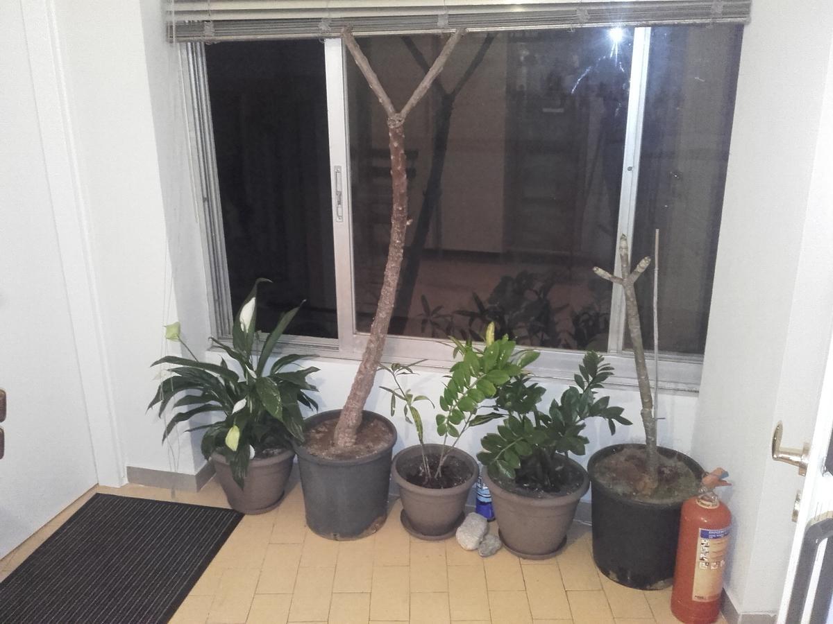 Jennys Apartment Preveza Bagian luar foto